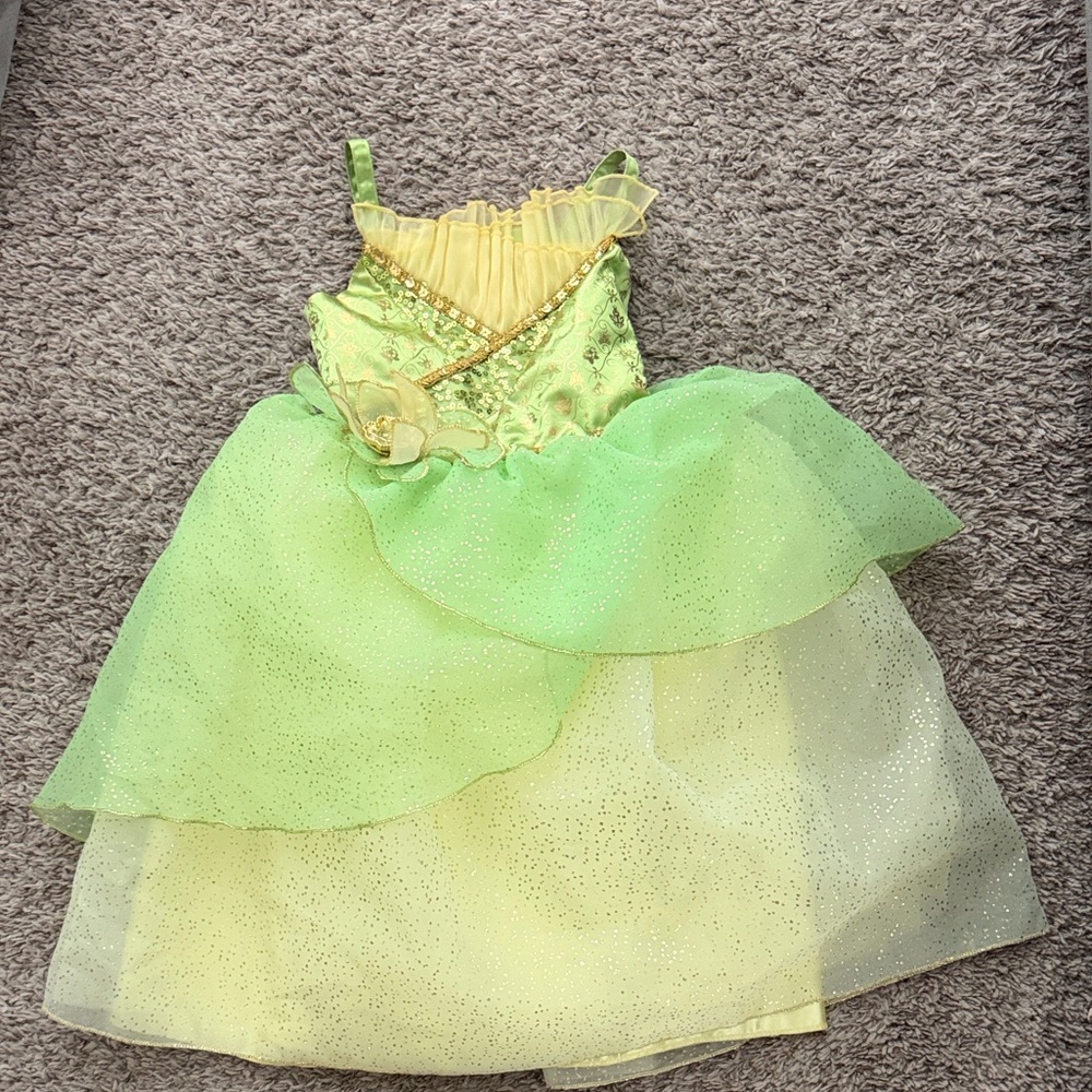 Disney Authentic Premium Tiana Costume - as 4